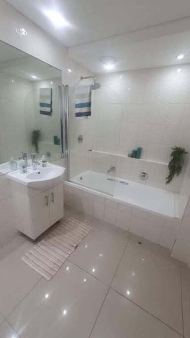 Dolphin Africa Apartment