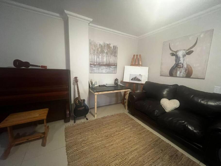 Dolphin Africa Apartment
