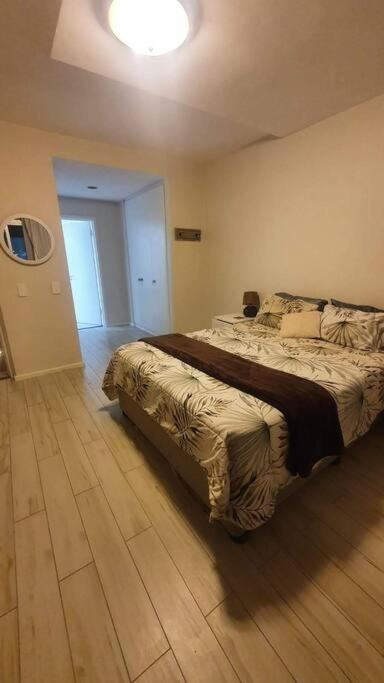Dolphin Africa Apartment Cape Town